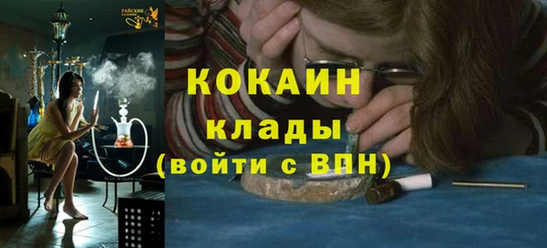 стафф Корсаков