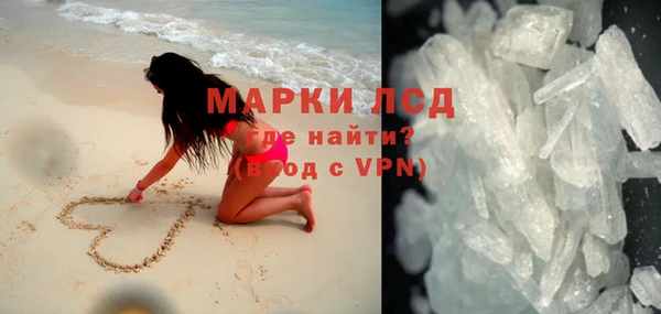 стафф Корсаков