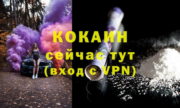 стафф Корсаков