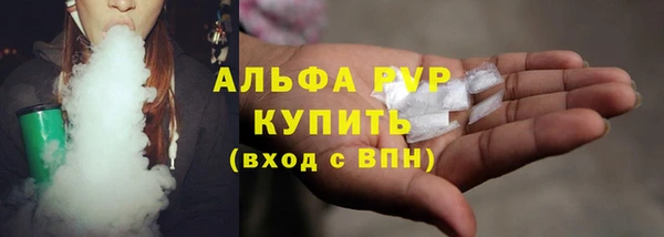 стафф Корсаков