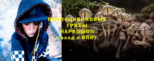 стафф Корсаков