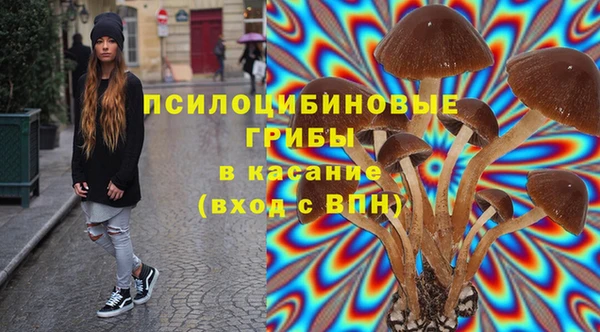 mdma Новозыбков