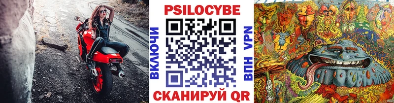 блэк спрут зеркало  где продают   Усмань  Галлюциногенные грибы мухоморы 